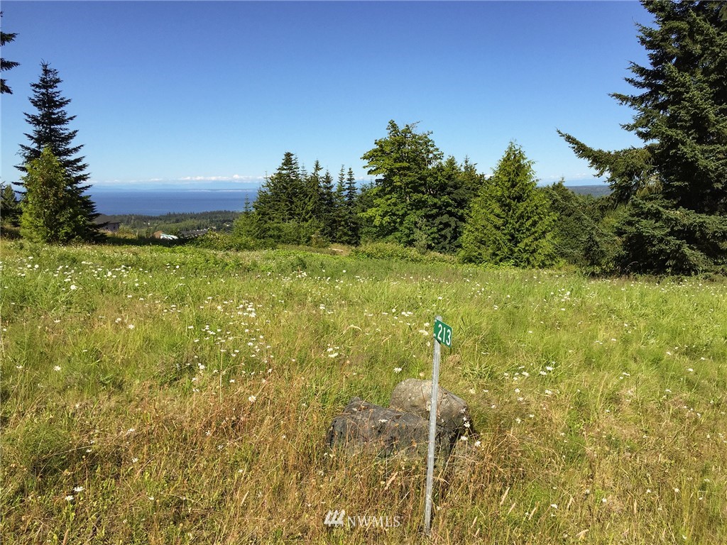 213 Elk Pass Road Sequim, WA 98382 - Photo 29 of 37 Gallery Image 29