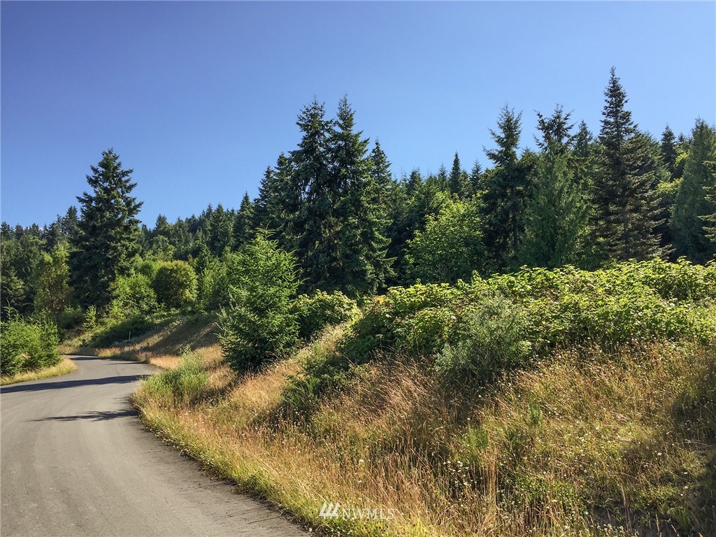 213 Elk Pass Road Sequim, WA 98382 - Photo 32 of 37 Gallery Image 32