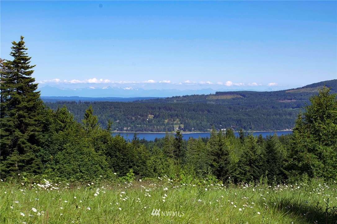 213 Elk Pass Road Sequim, WA 98382 - Photo 5 of 37 Gallery Image 5
