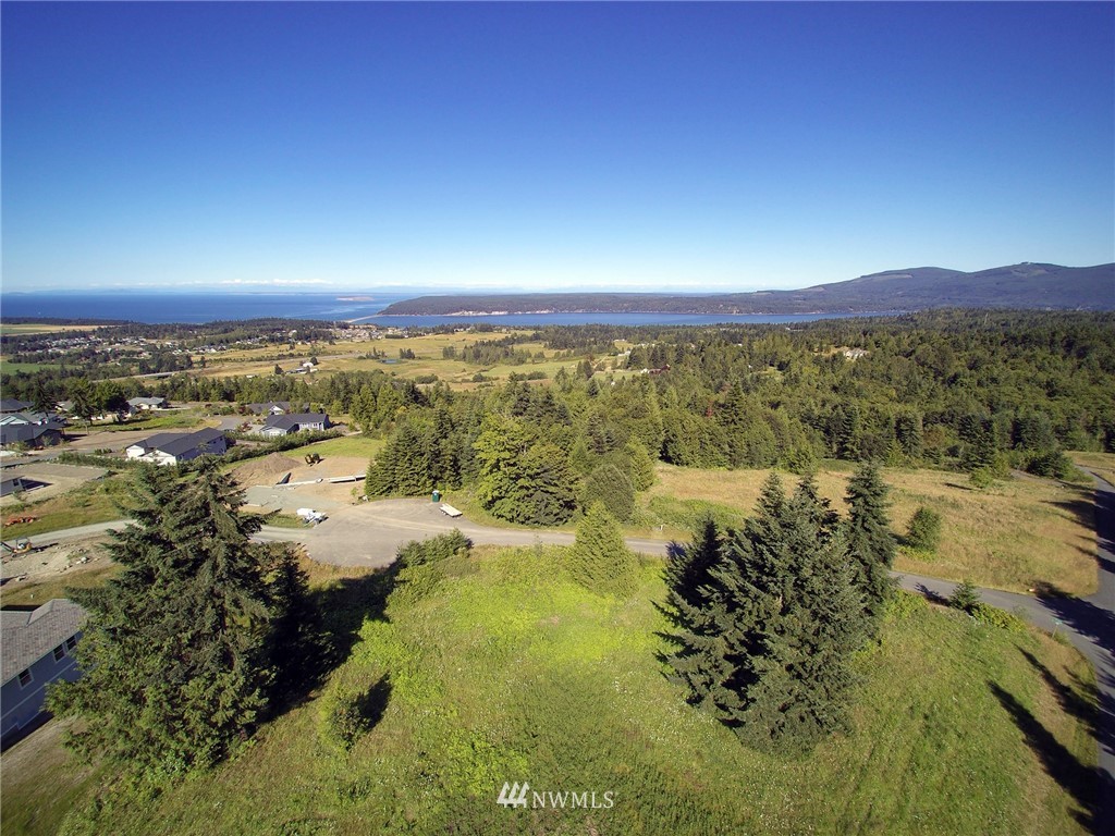 213 Elk Pass Road Sequim, WA 98382 - Photo 8 of 37 Gallery Image 8