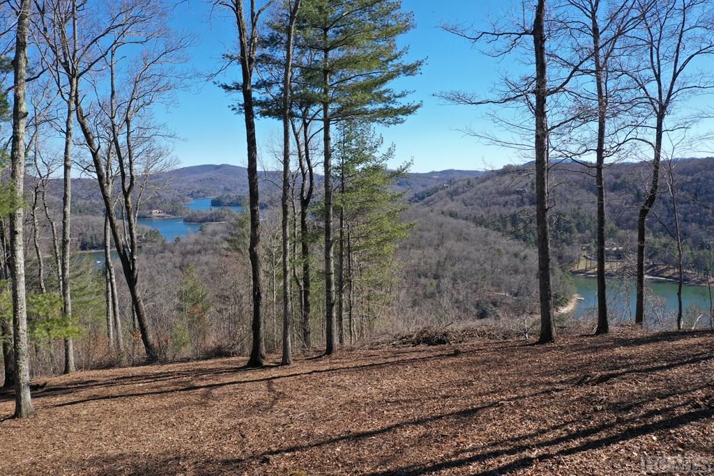 968 Shepherds Gap Road Cullowhee, NC 28723 - Photo 4 of 25 Gallery Image 4