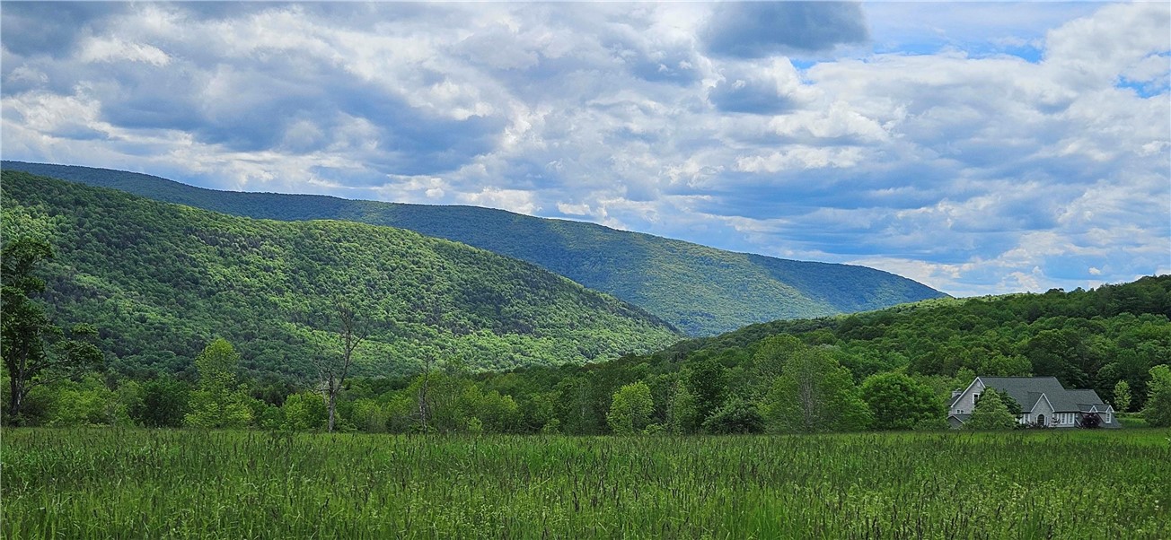 2185 Hog Mountain Road Fleischmanns, NY 12430 - Photo 30 of 35