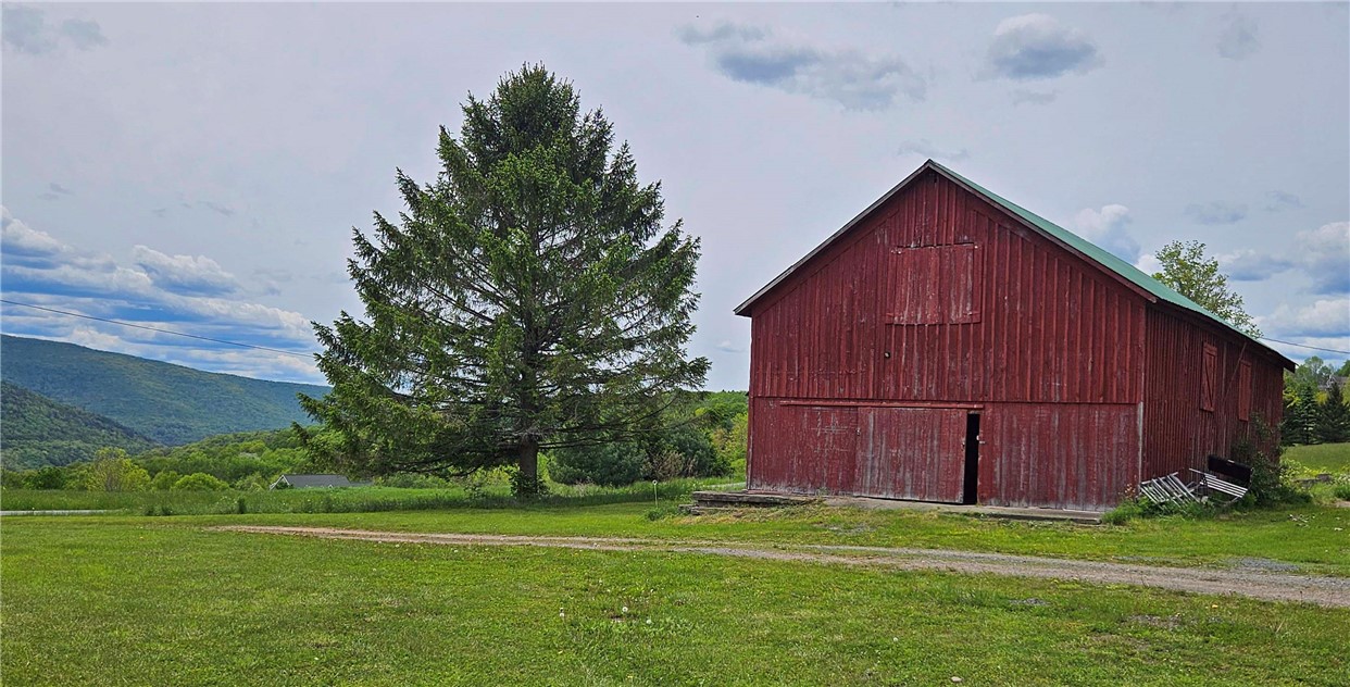 2185 Hog Mountain Road Fleischmanns, NY 12430 - Photo 31 of 35