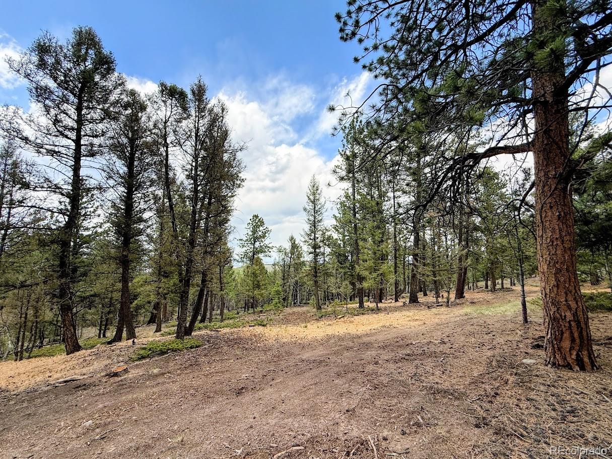 1789 Bellows Road Hartsel, CO 80449 - Photo 20 of 21
