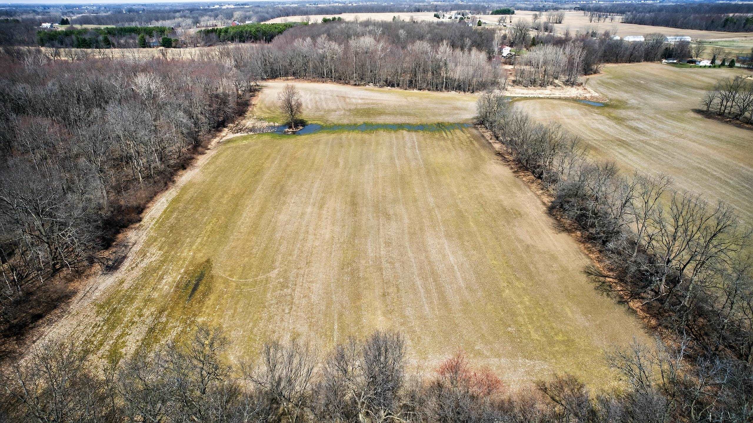 V/l South State Road Bancroft, MI 48414 - Photo 6 of 17