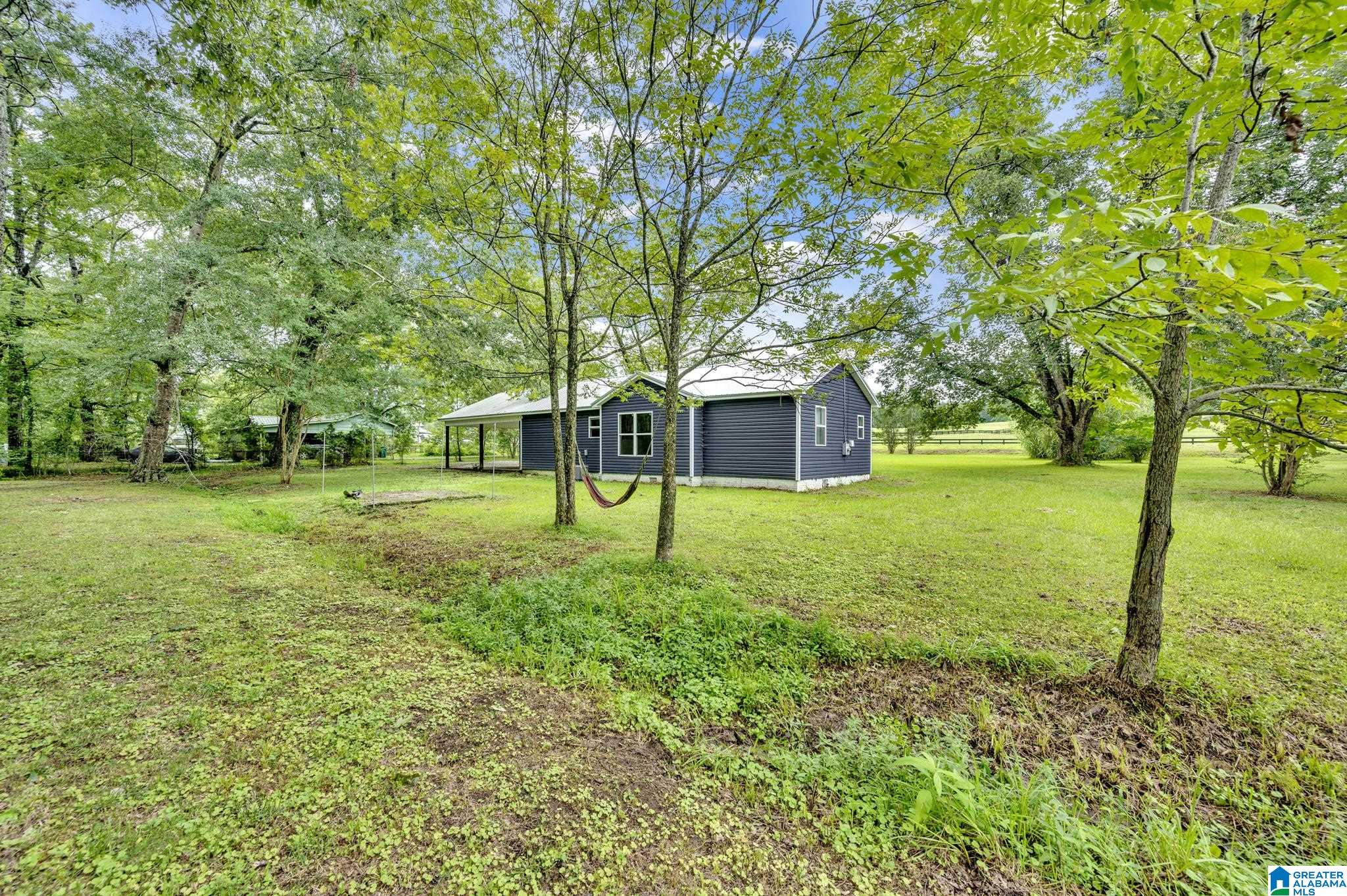13596 Highway 11 Springville, AL 35146 - Photo 6 of 27