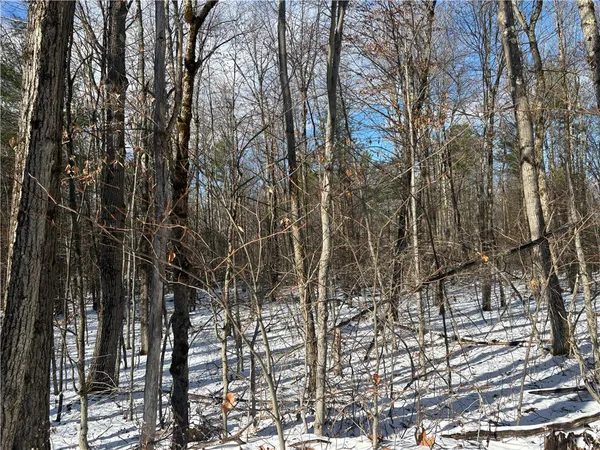$29,000 | Stanley Roseboom Road, Schenevus, NY 12155