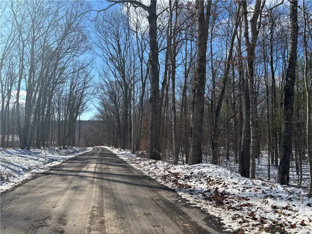 $29,000 | Stanley Roseboom Road, Schenevus, NY 12155