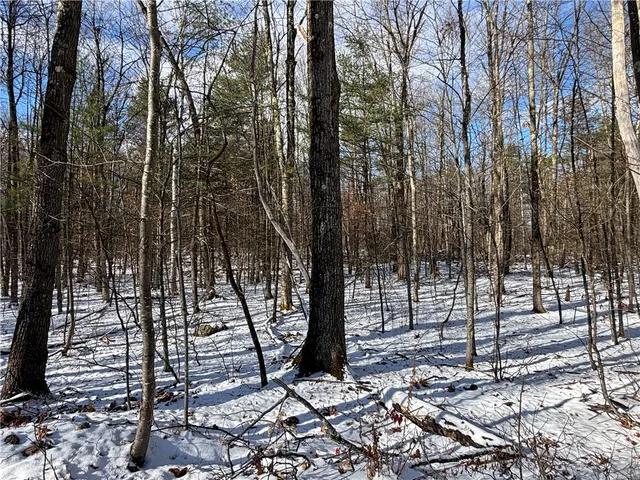 $29,000 | Stanley Roseboom Road, Schenevus, NY 12155