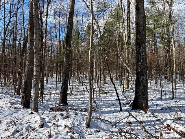 $29,000 | Stanley Roseboom Road, Schenevus, NY 12155