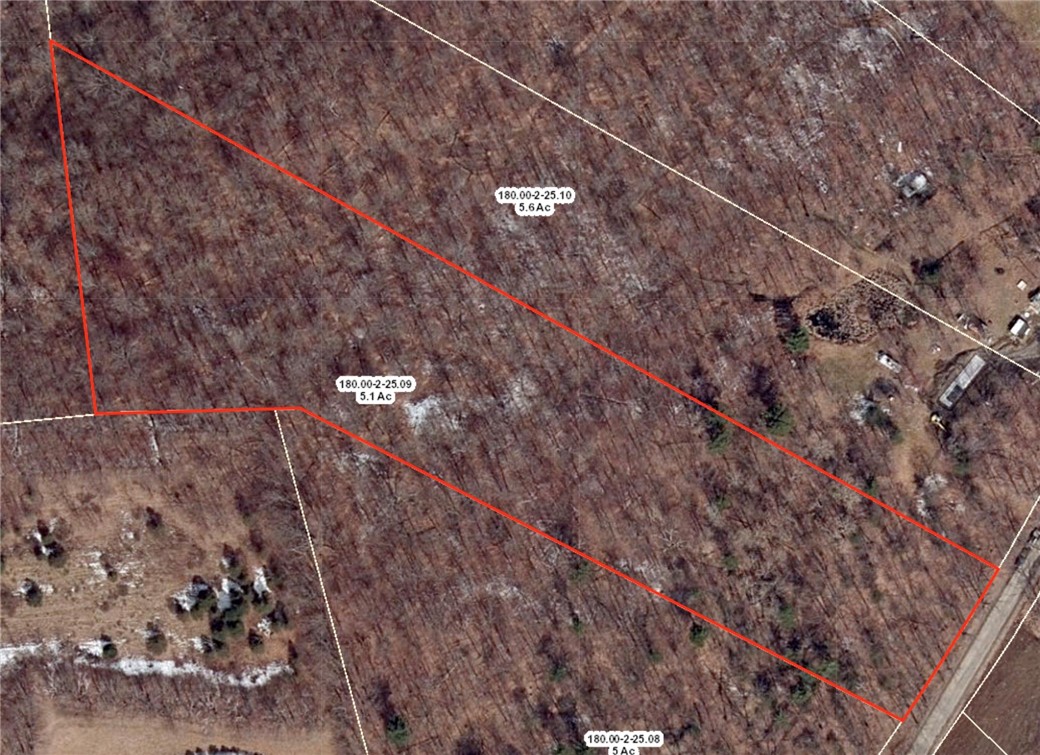 Stanley Roseboom Road Schenevus, NY 12155 - Photo 7 of 8 Lines are approximate.