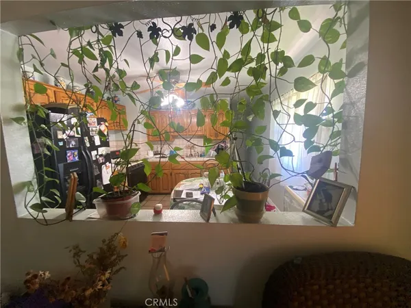 a view of a flower pot
