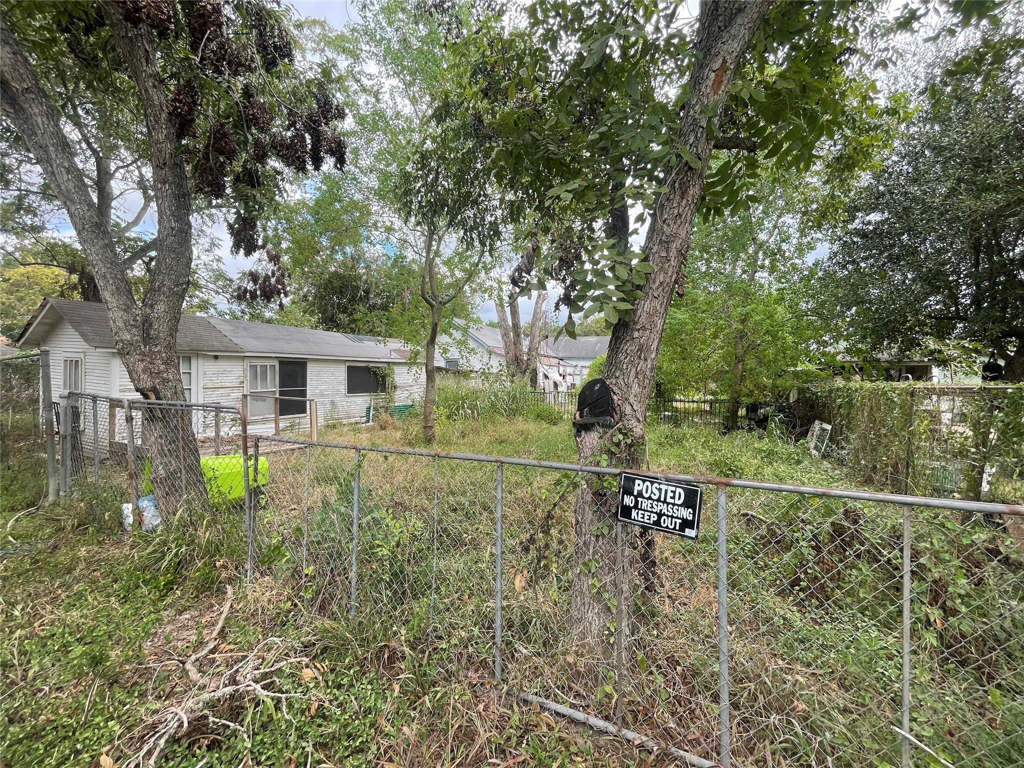 420 4th Street Rosenberg, TX 77471 - Photo 13 of 16 a backyard of a house with lots of green space