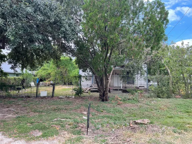 a view of a tree in front of a yard