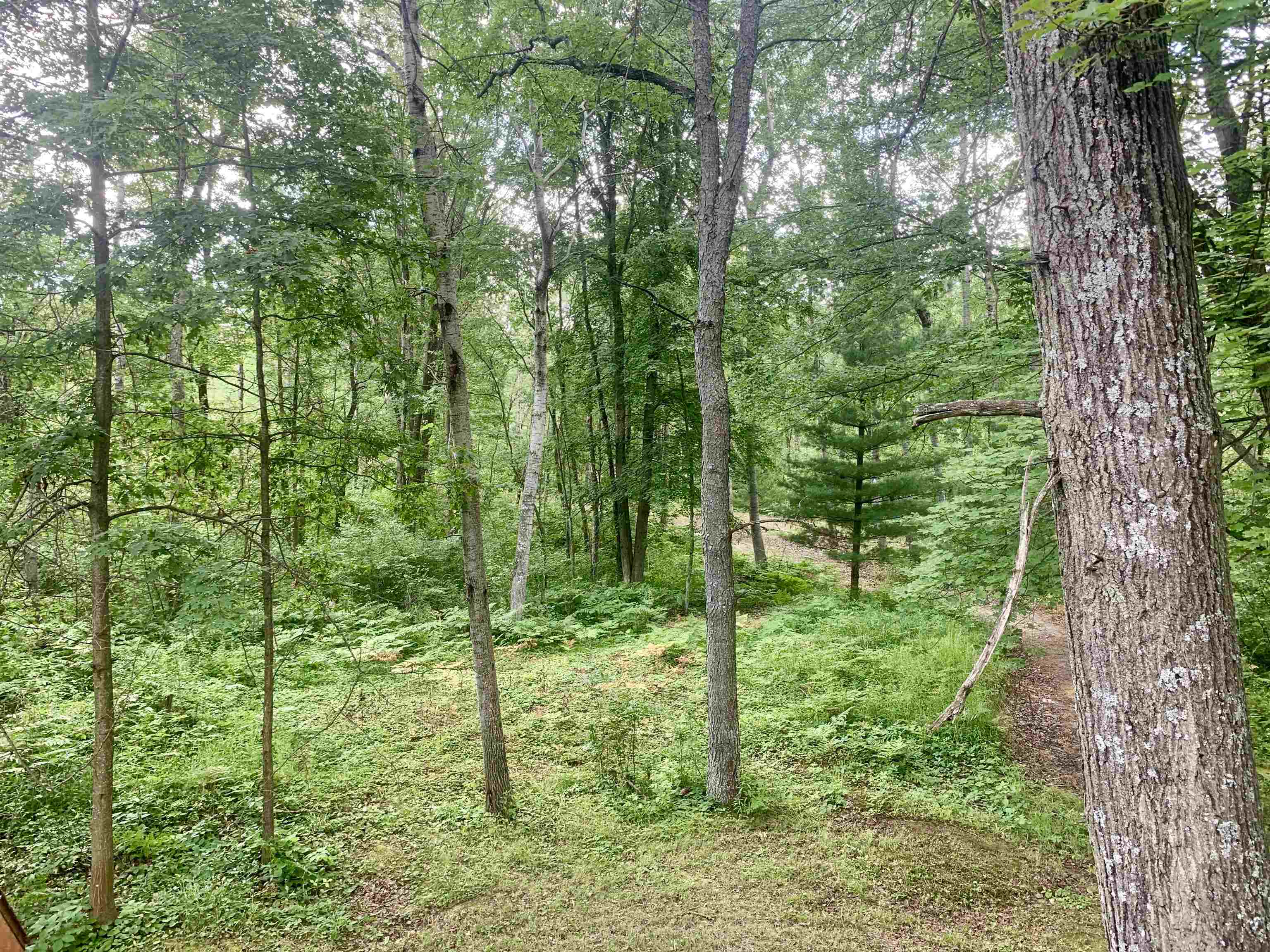 2376 Wieman Road Beaverton, MI 48612 - Photo 31 of 33