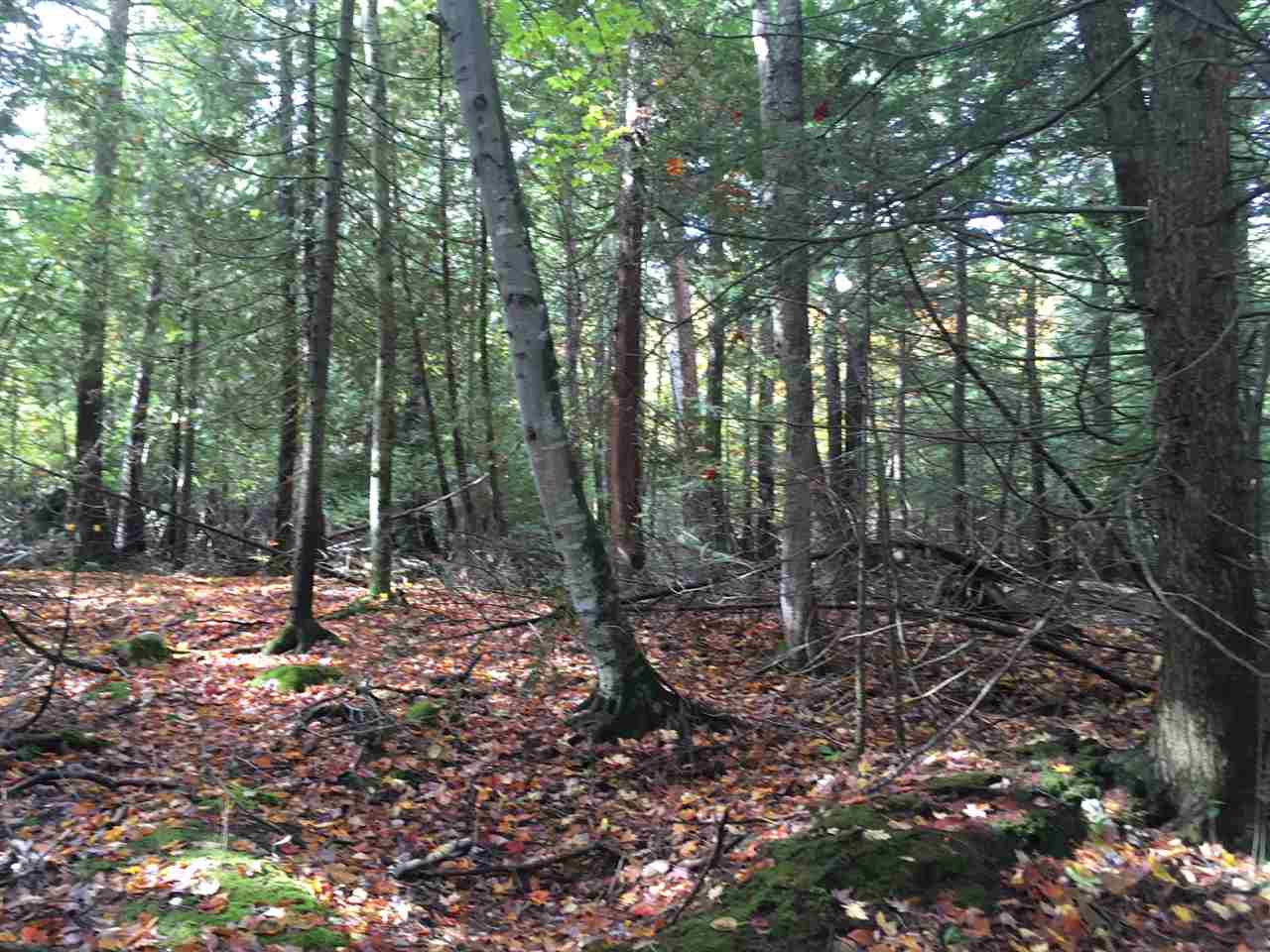 4964 Omena Point Road Omena, MI 49674 - Photo 10 of 32 1840029-9.JPG