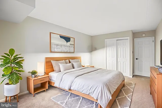 a spacious bedroom with a bed and a potted plant