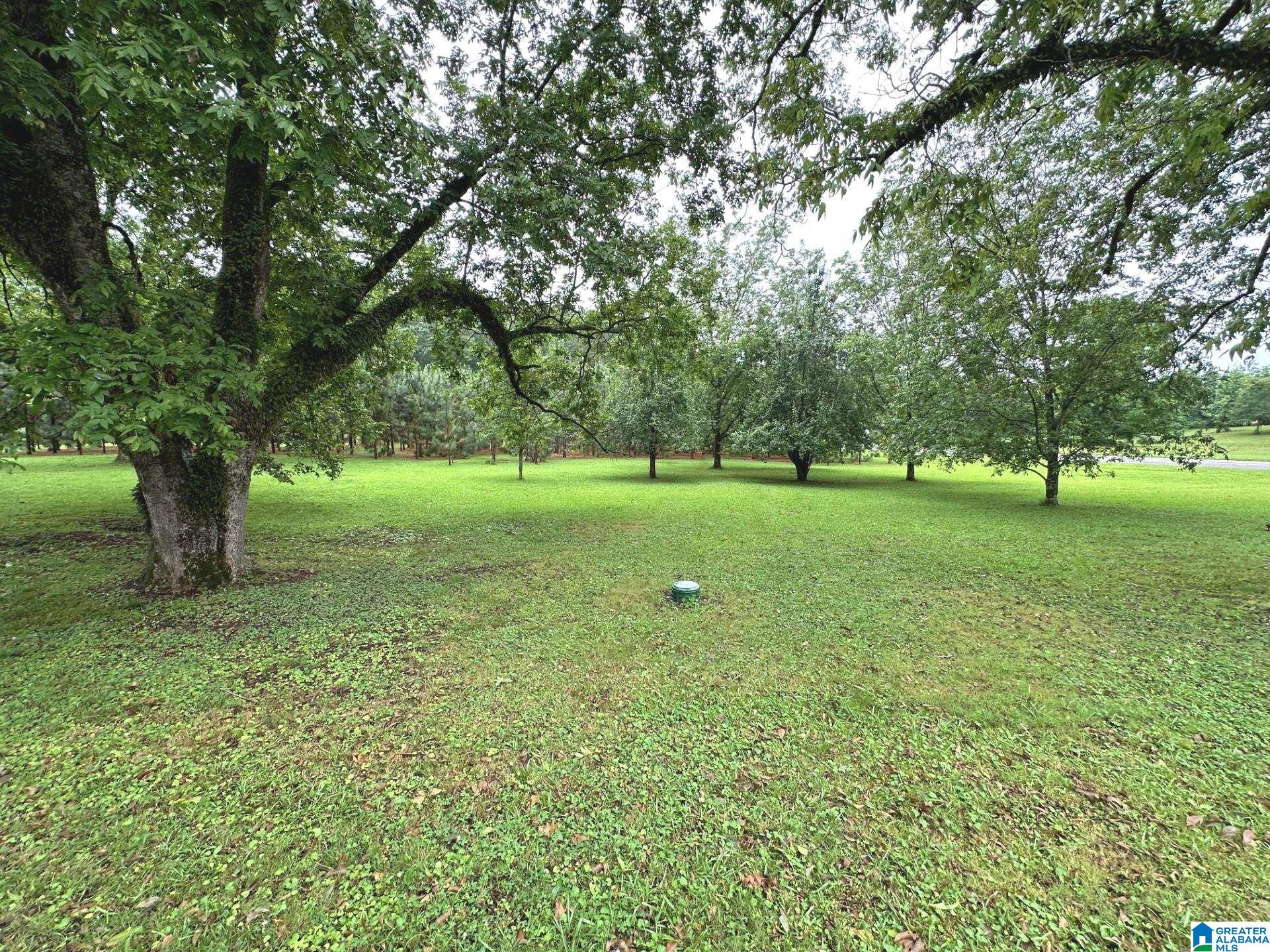 1020 County Road 57 Lineville, AL 36266 - Photo 18 of 40