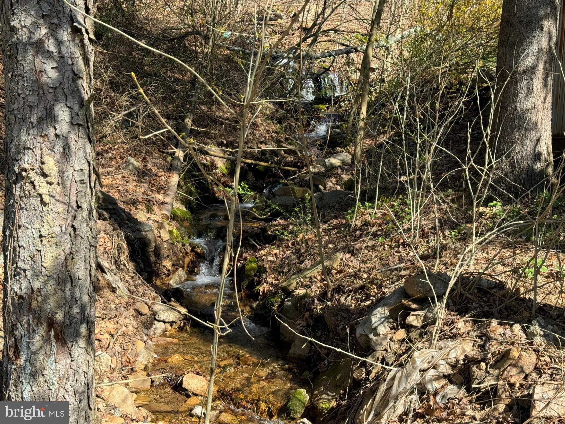 690 High Road Ashland, PA 17921 - Photo 17 of 35 Fresh water stream