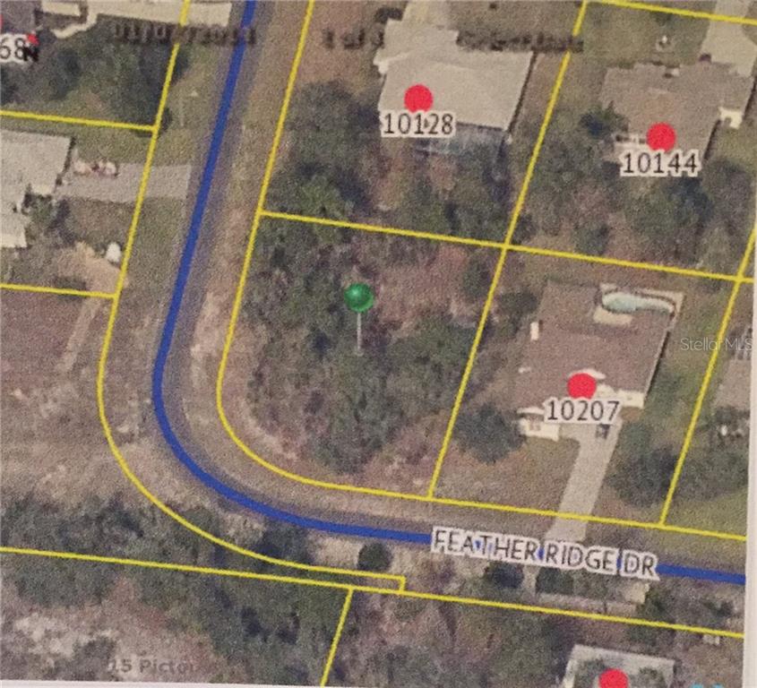10197 Feather Ridge Road Weeki Wachee, FL 34613 - Photo 1 of 1 Gallery Image 1