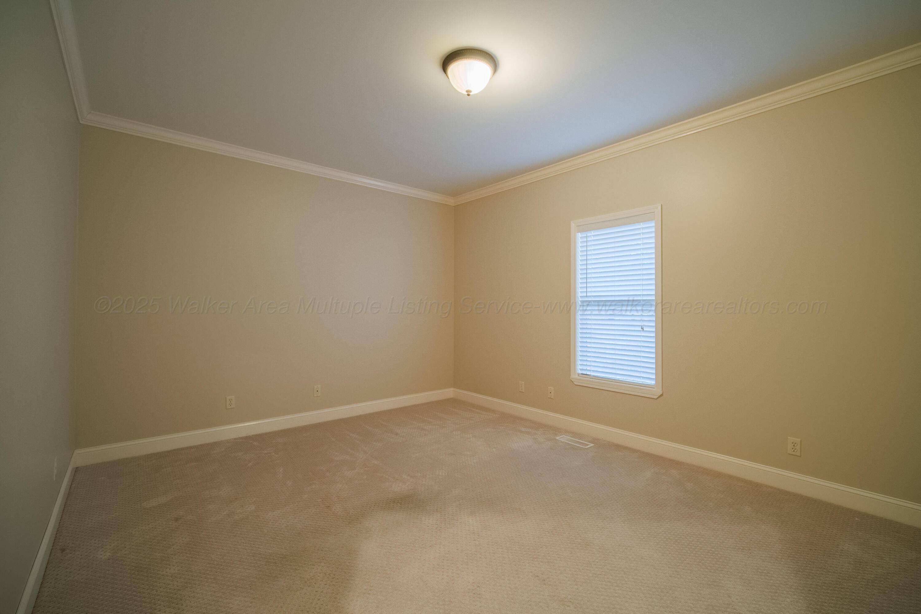515 Country Road Jasper, AL 35503 - Photo 10 of 19 Gallery Image 10