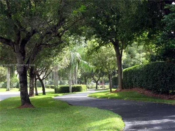 a view of a tree in a yard