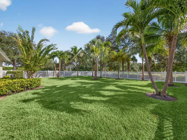 a view of green field