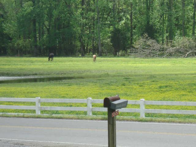 2155 Neelys Bend Road Madison, TN 37115 - Photo 18 of 18 Enjoy The View-Home Has Years of Beautiful Memories for This Family-Lots of Accumulations Over the Years But Just Imagine the Showplace Potential for Creation of Your Own Family's Memories!