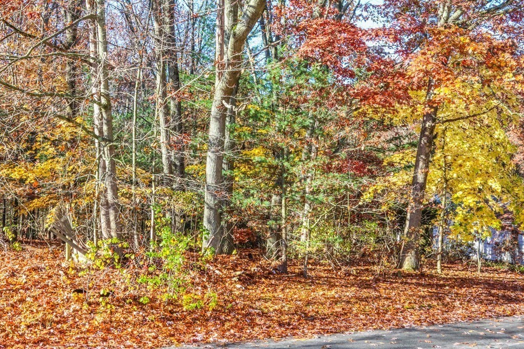 0 Talbot Road Springfield, MA 01119 - Photo 1 of 4 a view of a yard