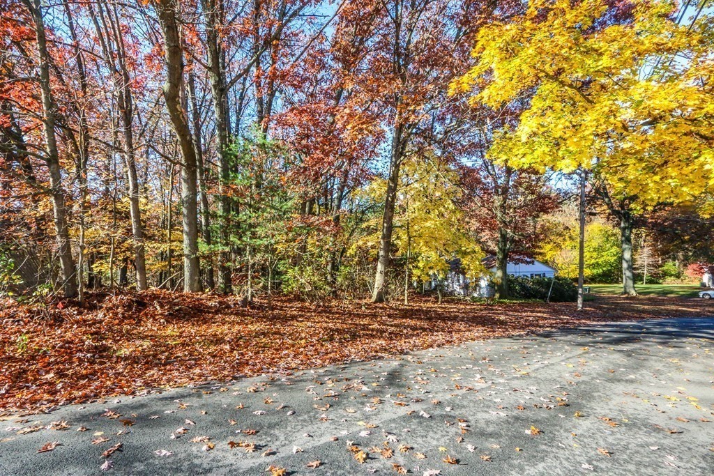 0 Talbot Road Springfield, MA 01119 - Photo 2 of 4 a backyard of a house with large trees