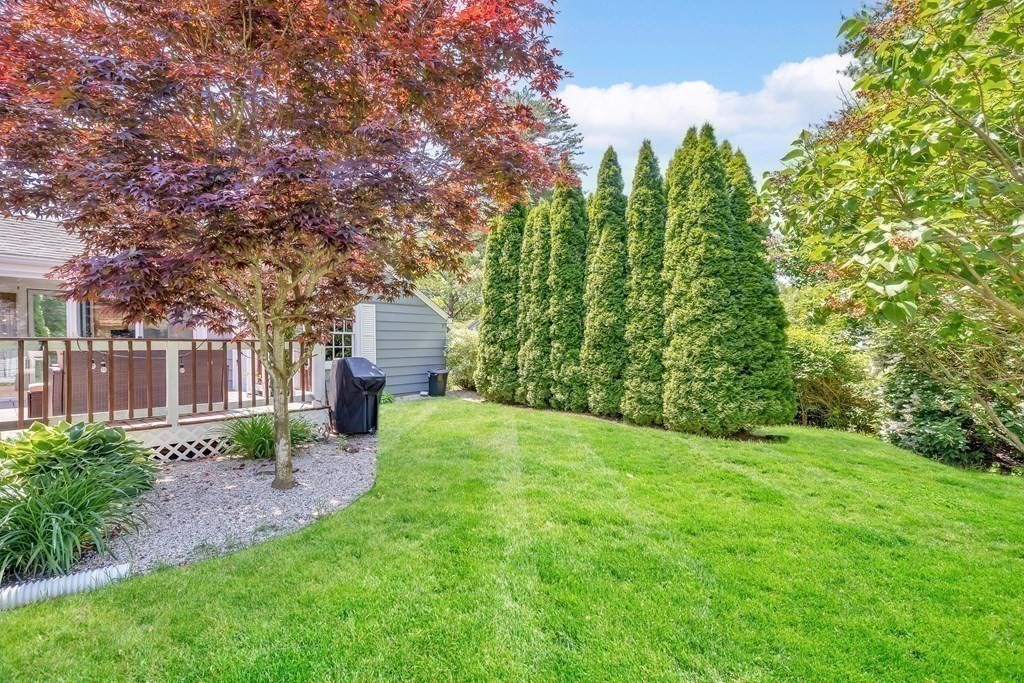 70 Bolton Street Springfield, MA 01119 - Photo 18 of 23 Gallery Image 18