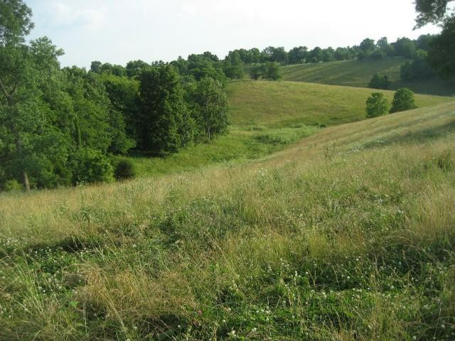 100 Burris Road Carlisle, KY 40311 - Photo 1 of 7 Photo 1