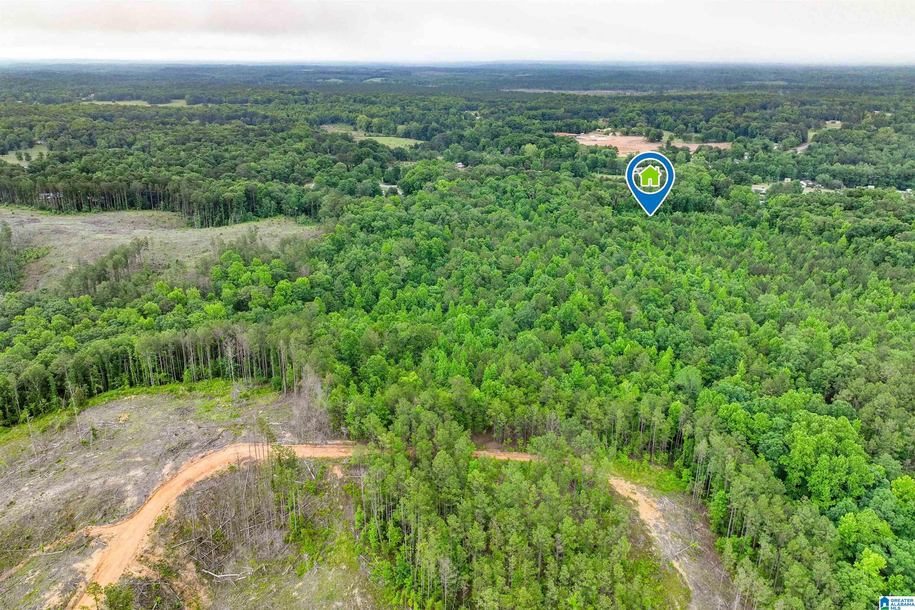 3869 Highway 155 Montevallo, AL 35115 - Photo 62 of 66