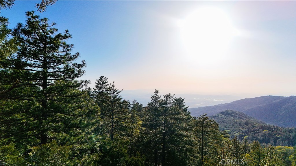 25121 Pine Cove Road Idyllwild, CA 92549 - Photo 39 of 39 Gallery Image 39