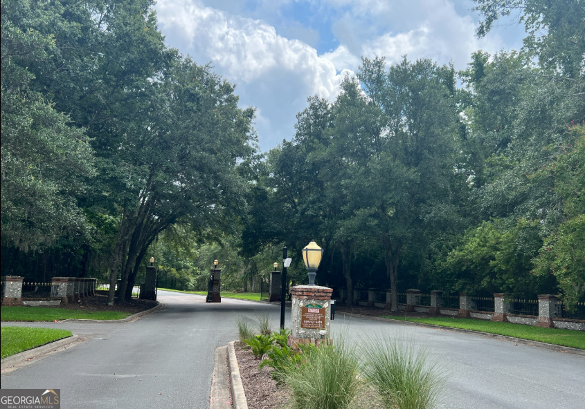 0 Secret Cove Road Woodbine, GA 31569 - Photo 10 of 12 a view of a park with slides