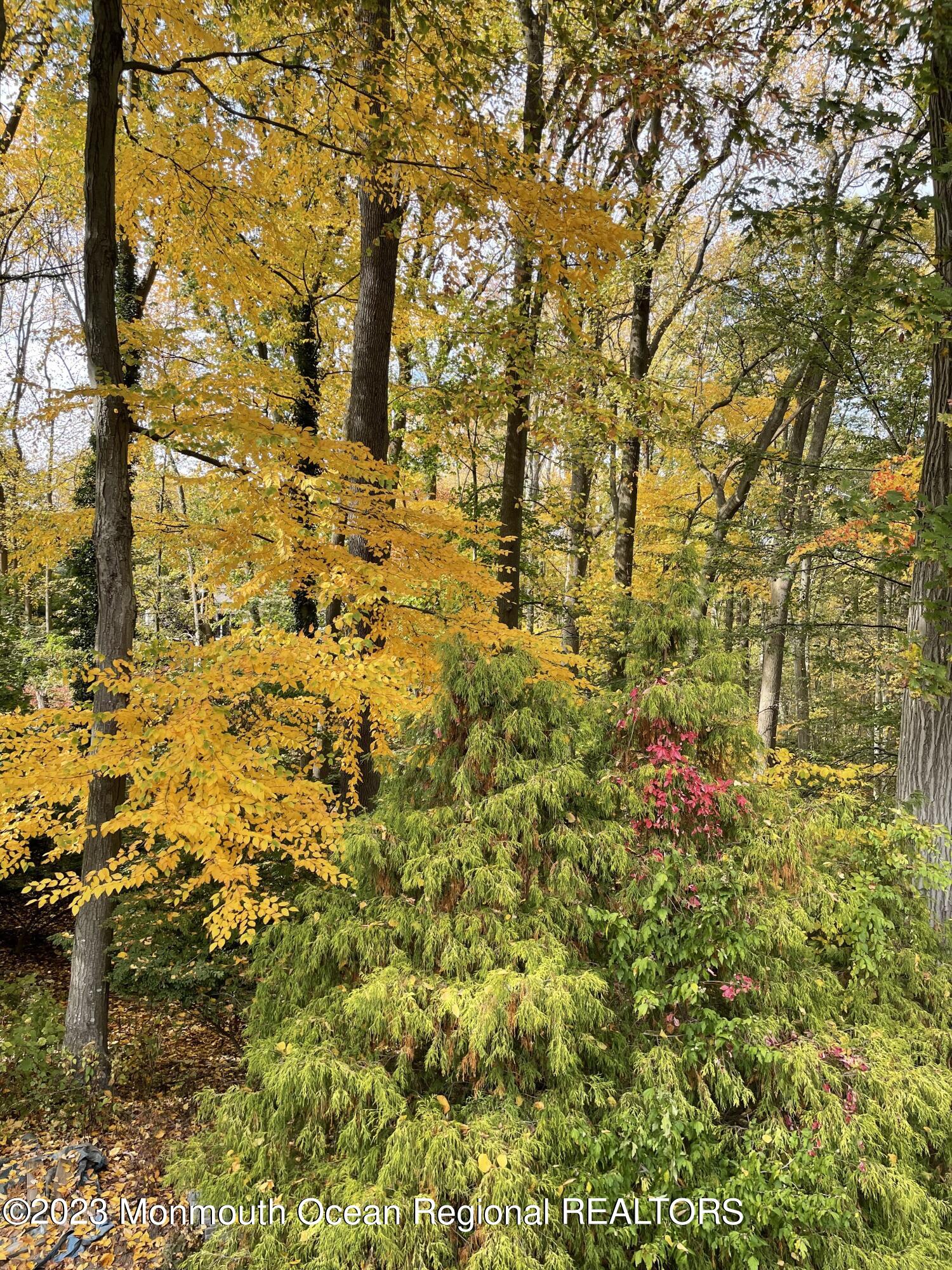 34 Huntley Road Holmdel, NJ 07733 - Photo 53 of 63 Fall Foliage
