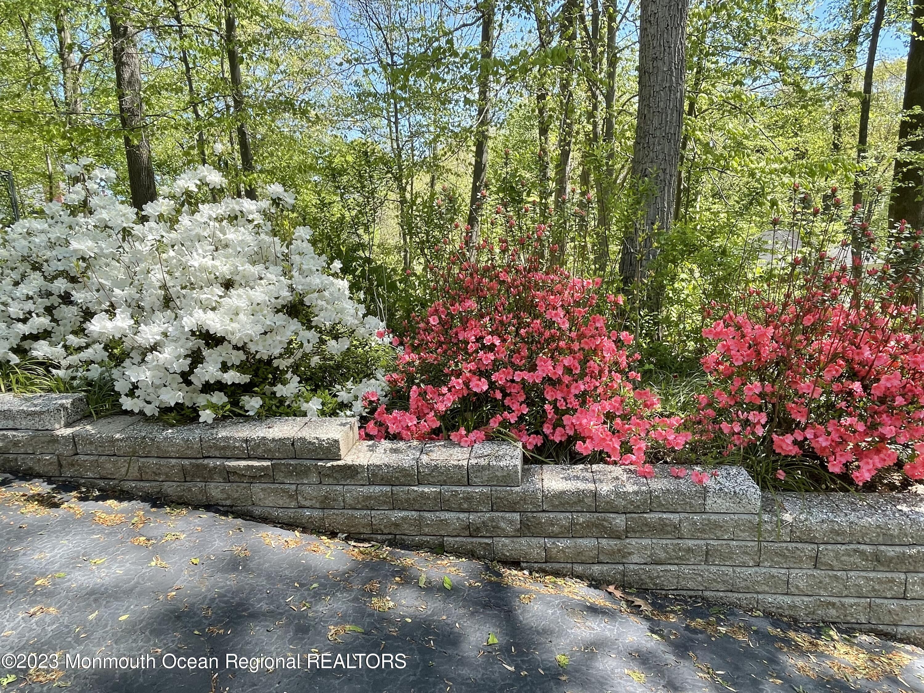 34 Huntley Road Holmdel, NJ 07733 - Photo 54 of 63 Driveway flowers
