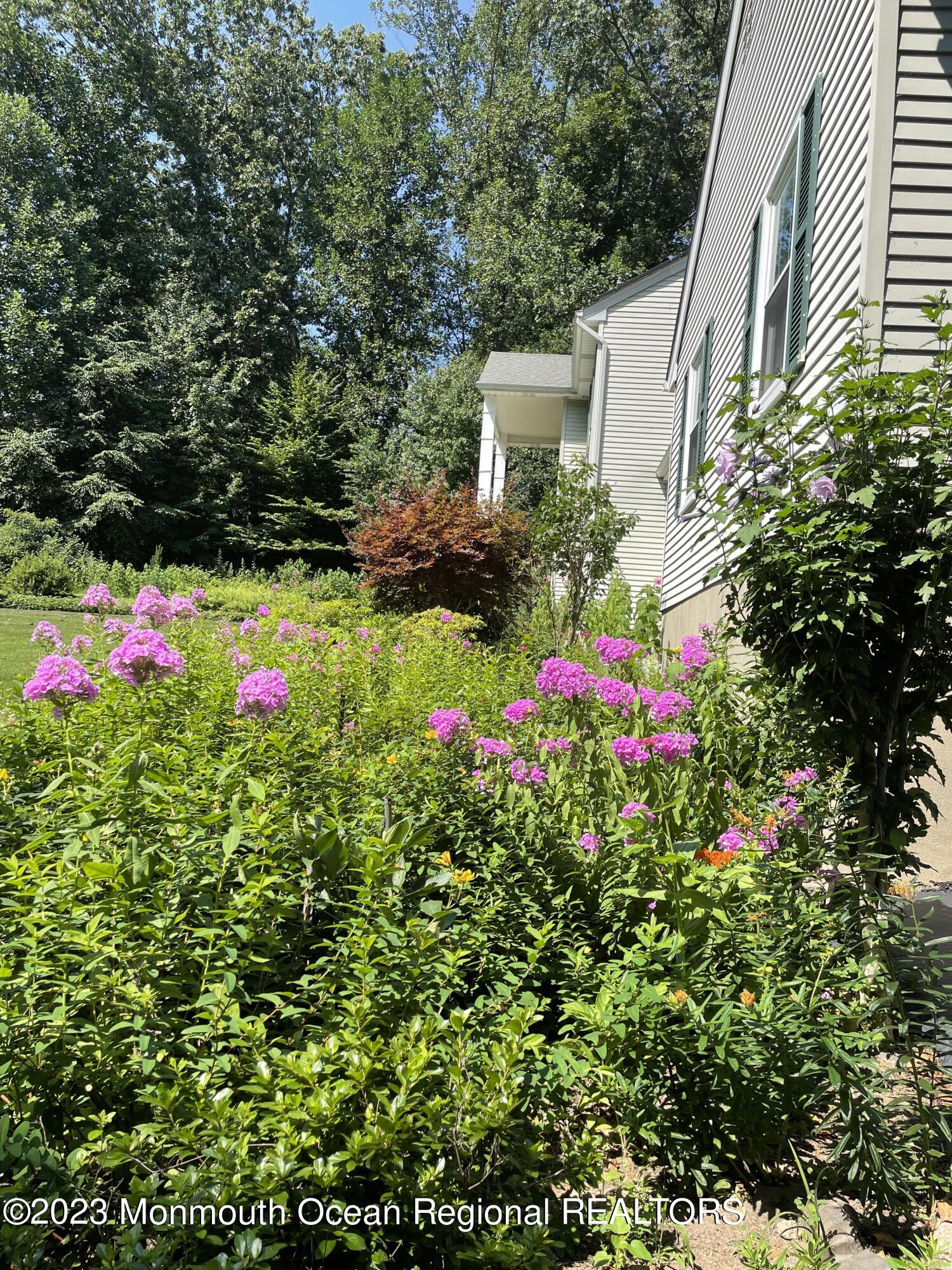 34 Huntley Road Holmdel, NJ 07733 - Photo 56 of 63 Flowers along the front