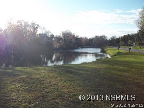 2032 Mango Tree Drive Edgewater, FL 32141 - Photo 22 of 24 a view of a park next to a lake