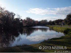 2032 Mango Tree Drive Edgewater, FL 32141 - Photo 23 of 24 a view of a lake with houses in back