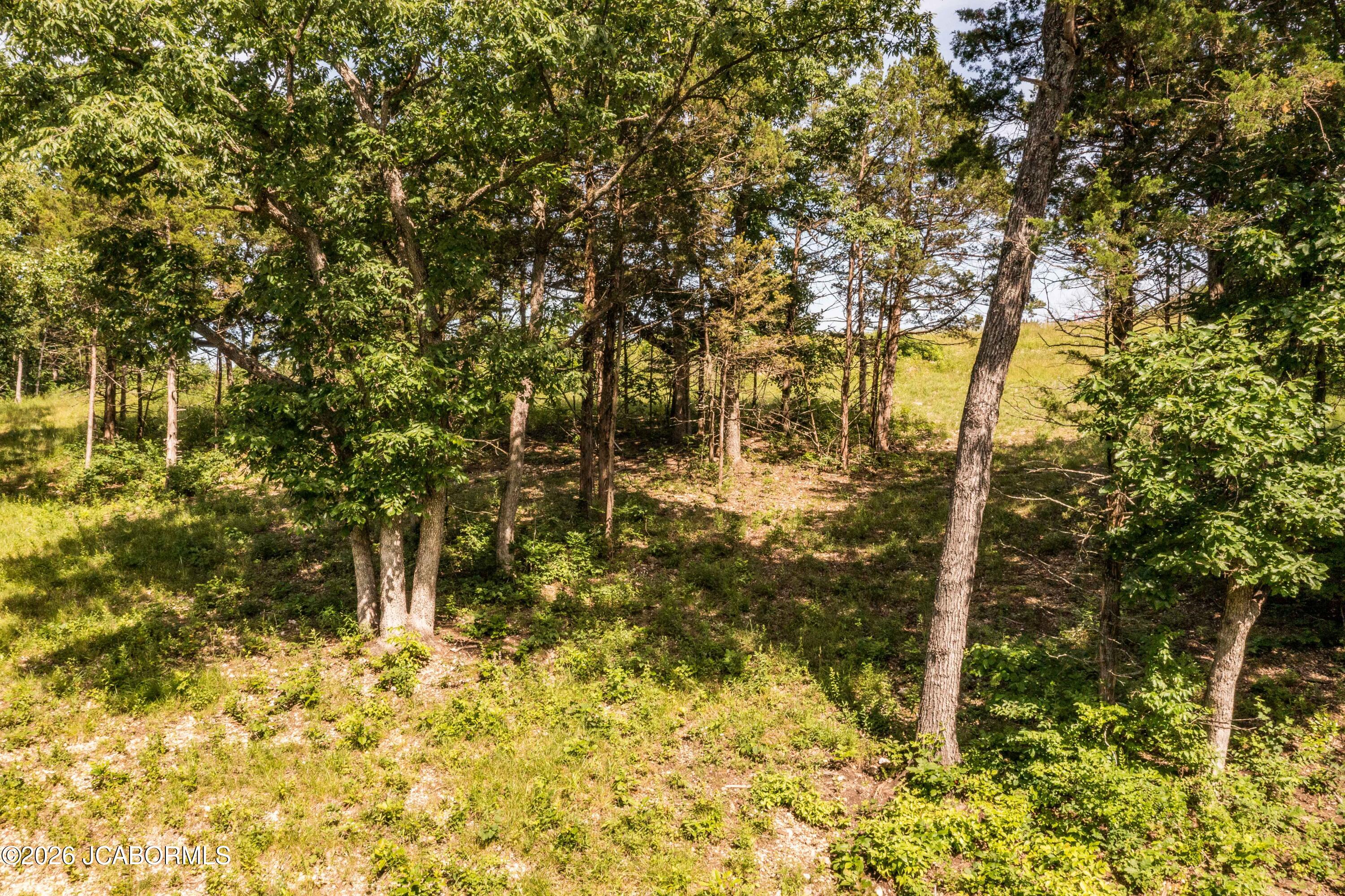 13924 Stevens Road Russellville, MO 65074 - Photo 49 of 51 DJI_0563
