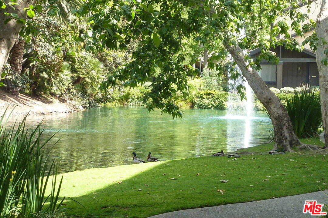 3305 Raintree Circle Culver City, CA 90230 - Photo 4 of 4 a view of a lake from a yard