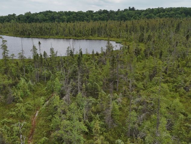 6565 Lynch Bridge Road Siren, WI 54872 - Photo 19 of 60