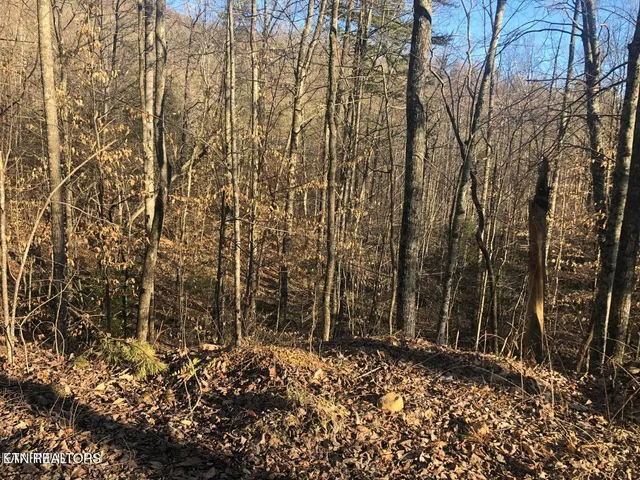 $7,500 | Lot 68 Yellowwood Drive, Sevierville, TN 37876