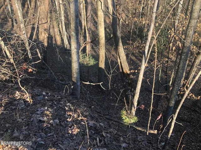 $7,500 | Lot 68 Yellowwood Drive, Sevierville, TN 37876