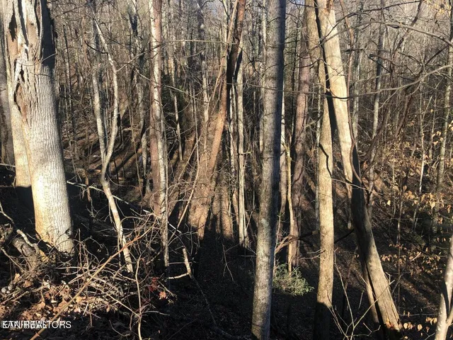 $7,500 | Lot 68 Yellowwood Drive, Sevierville, TN 37876