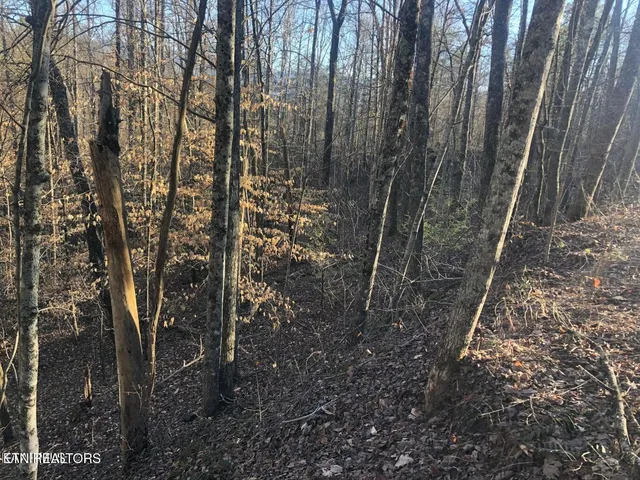 $7,500 | Lot 68 Yellowwood Drive, Sevierville, TN 37876