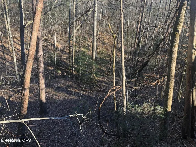 $7,500 | Lot 68 Yellowwood Drive, Sevierville, TN 37876