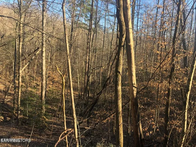 $7,500 | Lot 68 Yellowwood Drive, Sevierville, TN 37876