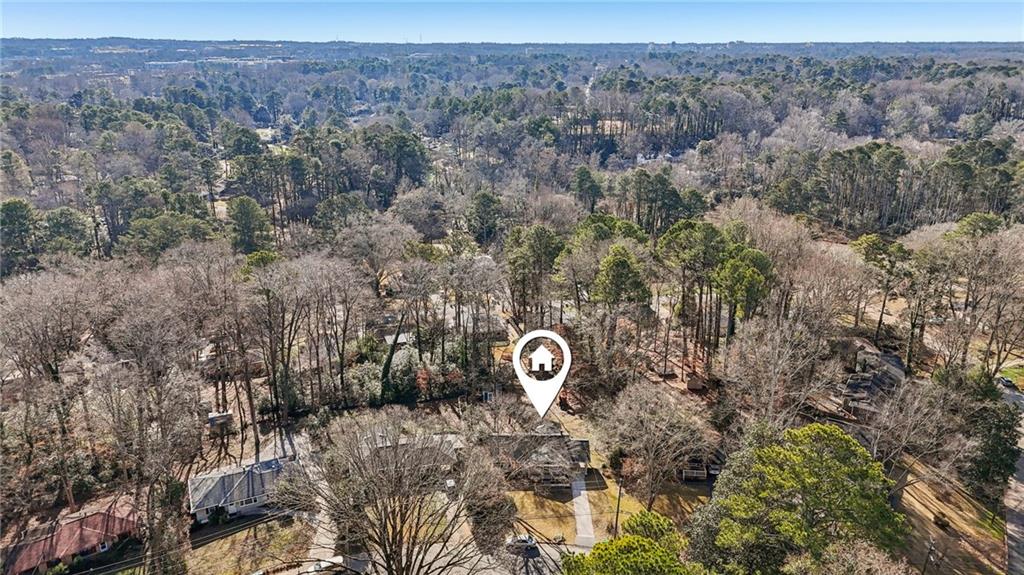 1173 Willivee Drive Decatur, GA 30033 - Photo 33 of 35 a view of a yard with a tree